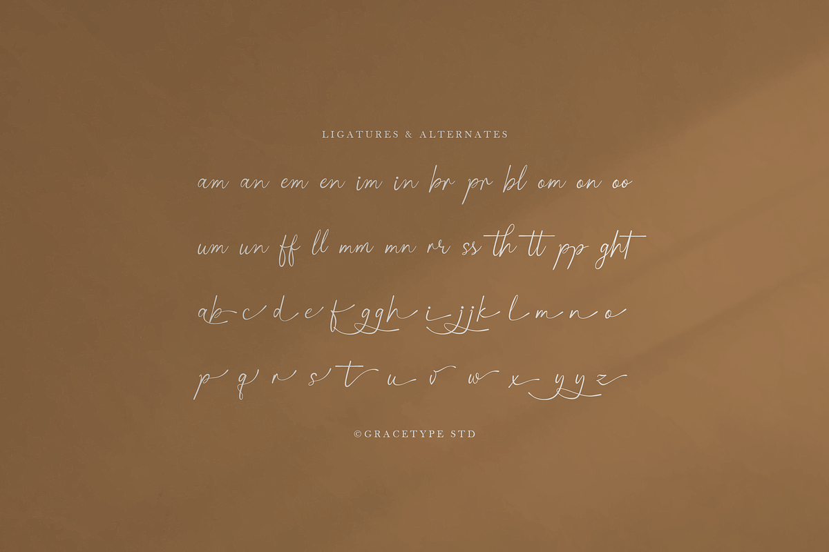 Pensthary | Classic Signature Script, a Script Font by gracetype_studio (Photo 2 of 12)
