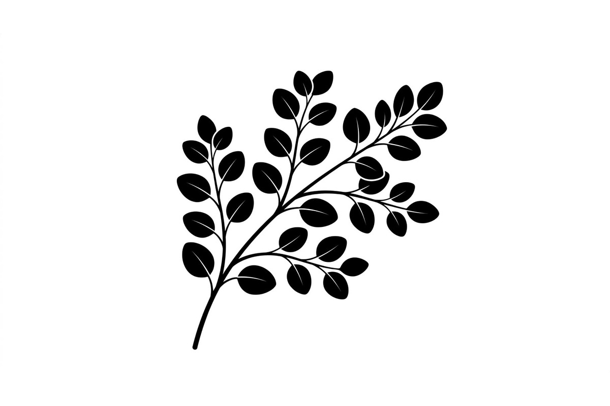 Eucalyptus Leaf Branch Collection, an Object Graphic by Designer_Momina (Photo 3 of 3)