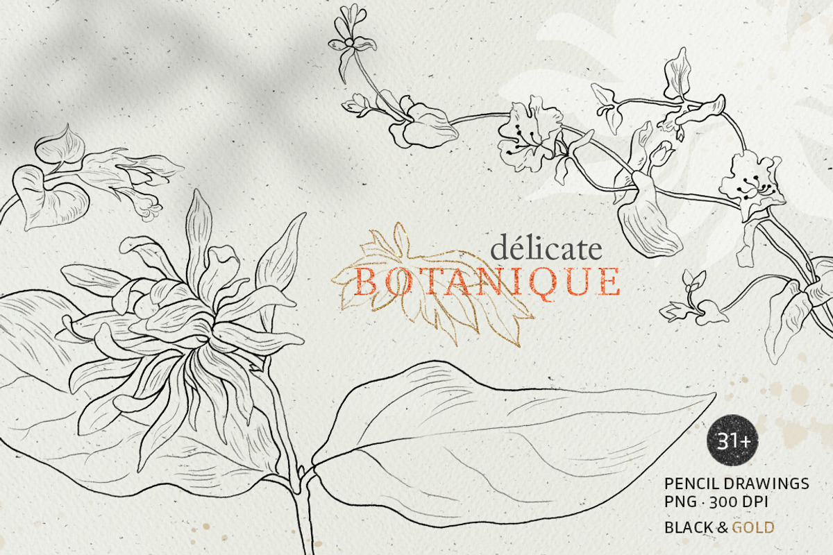 Pencil flowers | delicate drawings, an Illustration by GrafikBoutique (Photo 1 of 9)