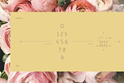 Elegantly - sans elegant font, a Font by DanieleFranchi (Thumbnail 7 of 13)