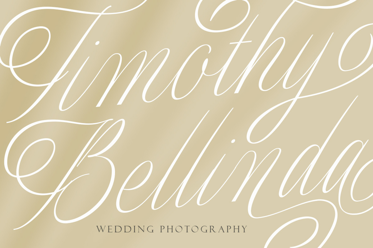 Merodine Script -, a Script Font by Letterhend Studio (Photo 6 of 9)