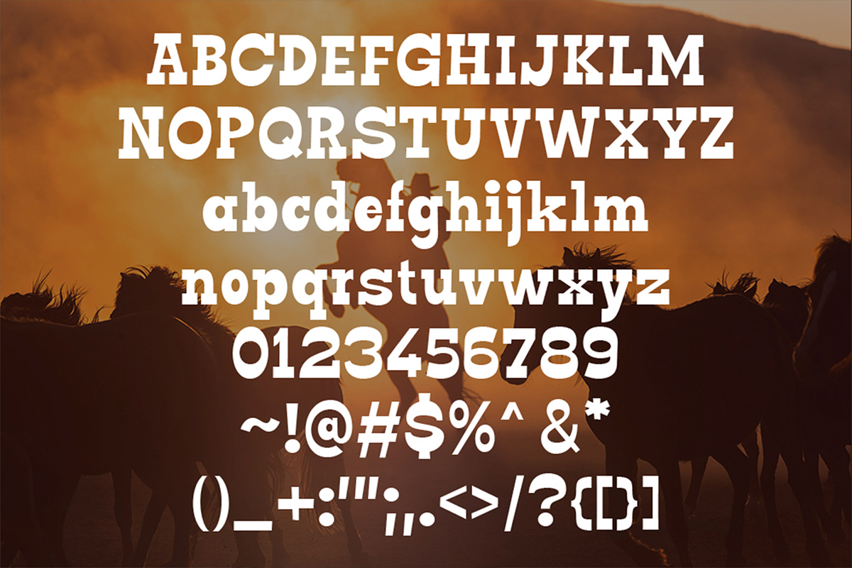 Go Boy – Cowboy Fonts, a Slab Serif Font by Konstantine Studio (Photo 5 of 5)