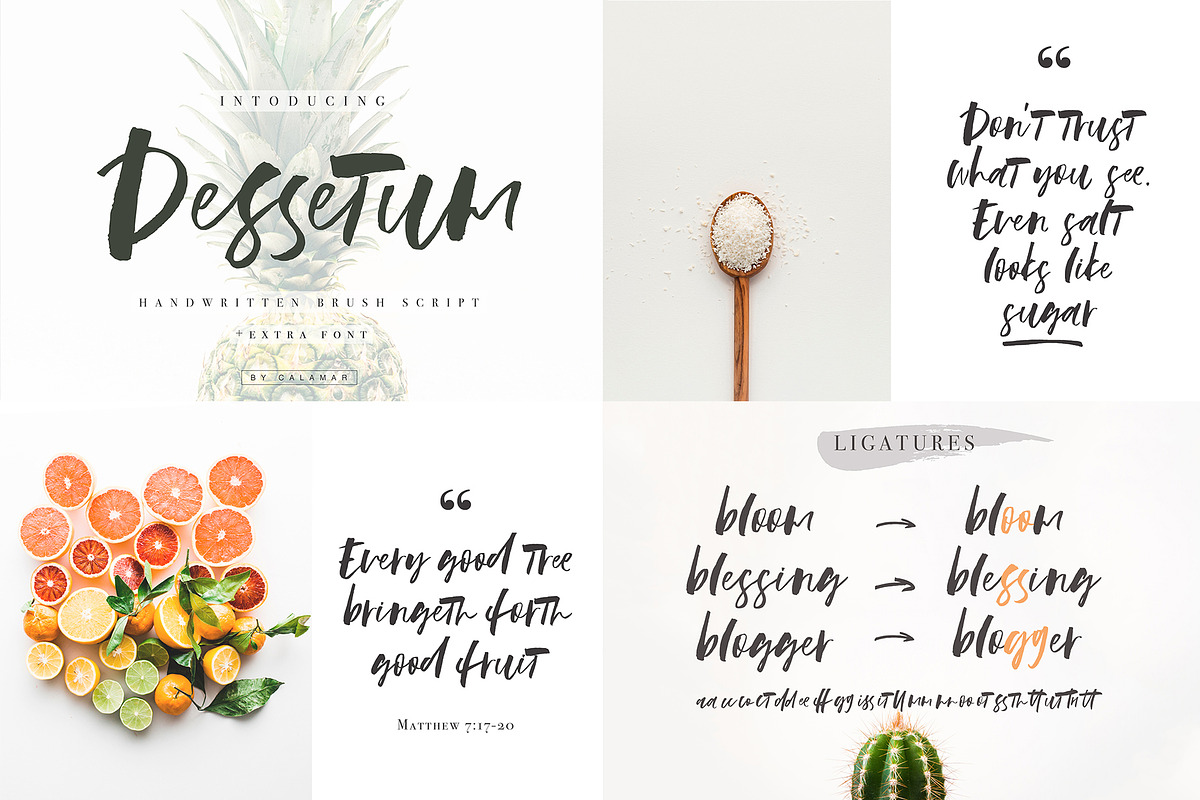WHOLE SHOP FONT BUNDLE, a Serif Font by Calamar Studio (Photo 21 of 33)