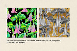 Floral Patterns With Datura