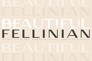 Fellinian - Mid Century Logo Sans, a Sans Serif Font by Anya-D (Thumbnail 17 of 17)