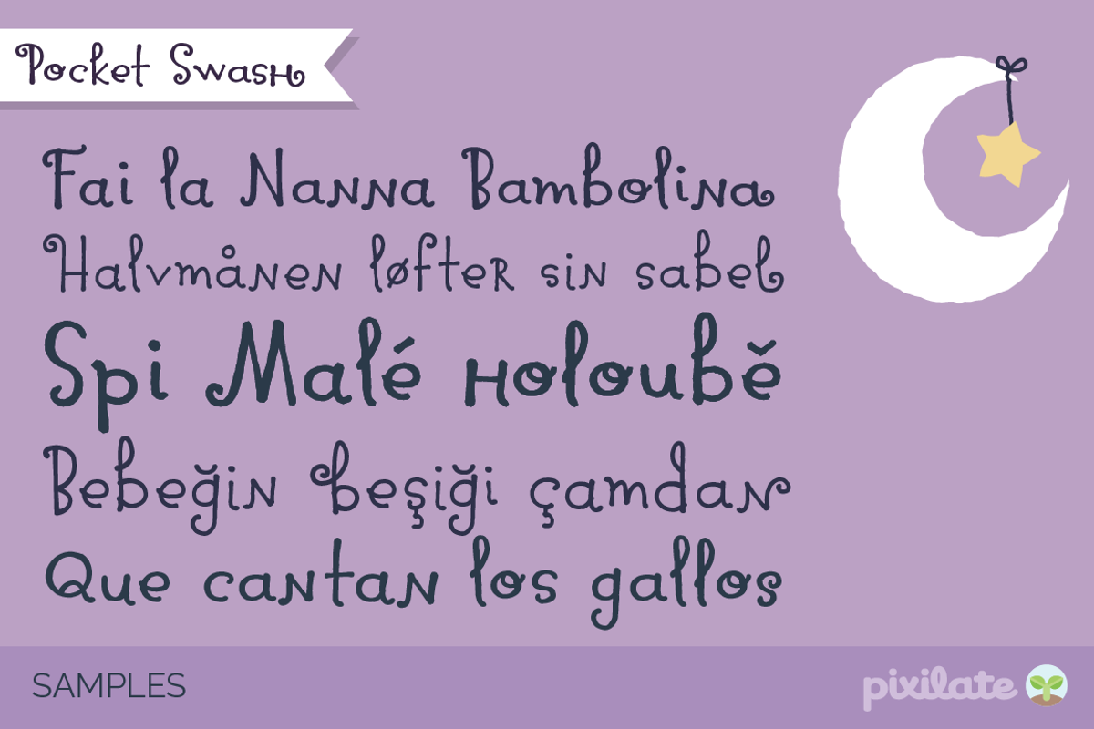 Pocket Swash Font preview 2