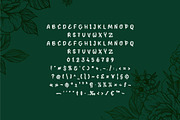 Deconator - Decorative Font, a Handwritten Font by Mightyfire (Thumbnail 4 of 4)