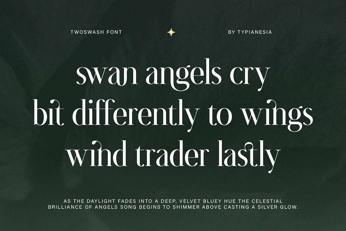 Twoswash - Beauty Elegant Serif, a Serif Font by Typia Nesia (Photo 4 of 11)