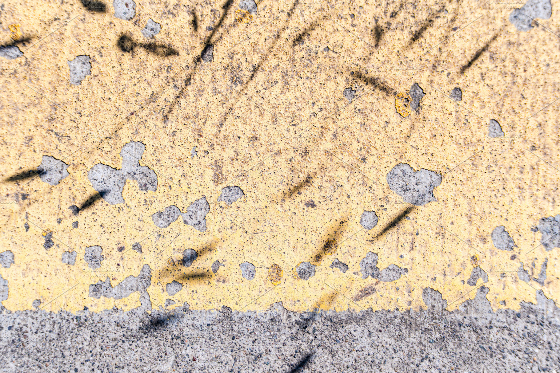 Concrete sidewalk background with shadows of the plant, a Nature Photo by Anna Bogush