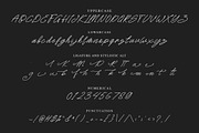 Rattini Signature Font, a Script Font by NTC Graphic (Thumbnail 9 of 10)