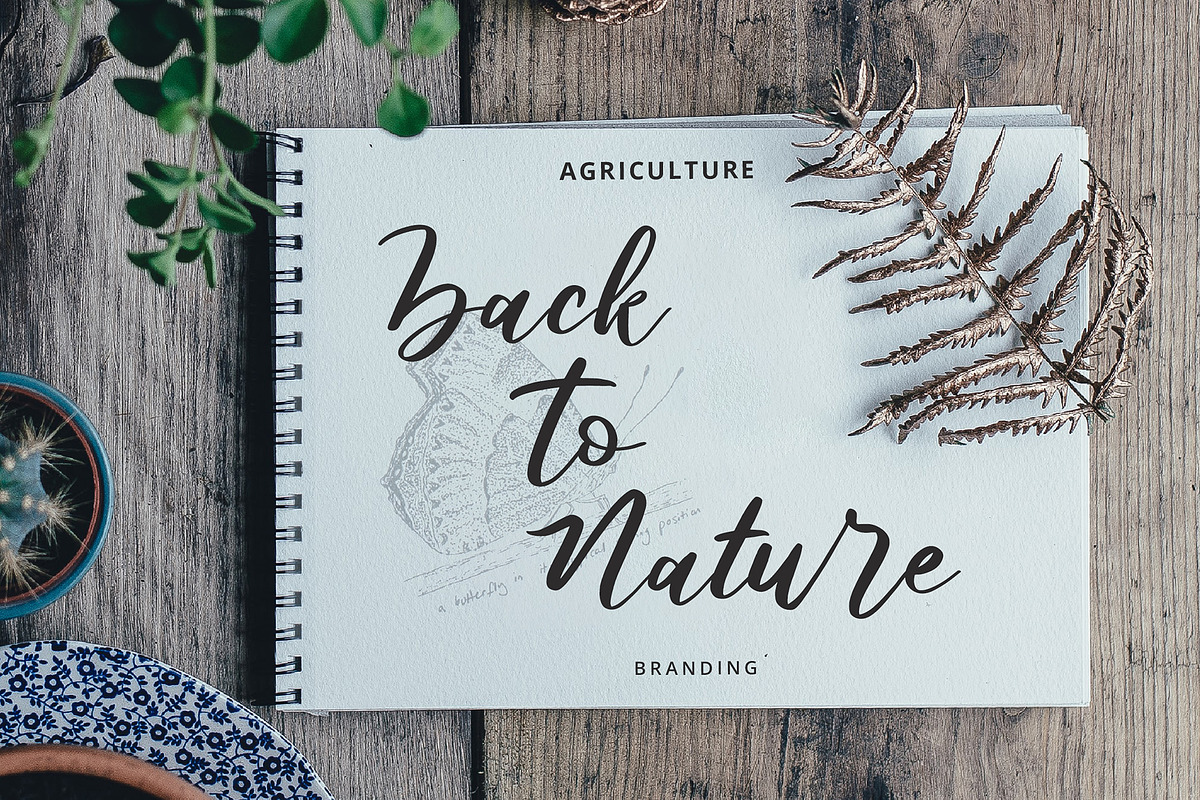 Butterfly Modern Script Font preview 2