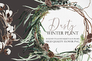 Watercolor flower - Dusty Winter, an Illustration by Beigetime (Thumbnail 1 of 14)