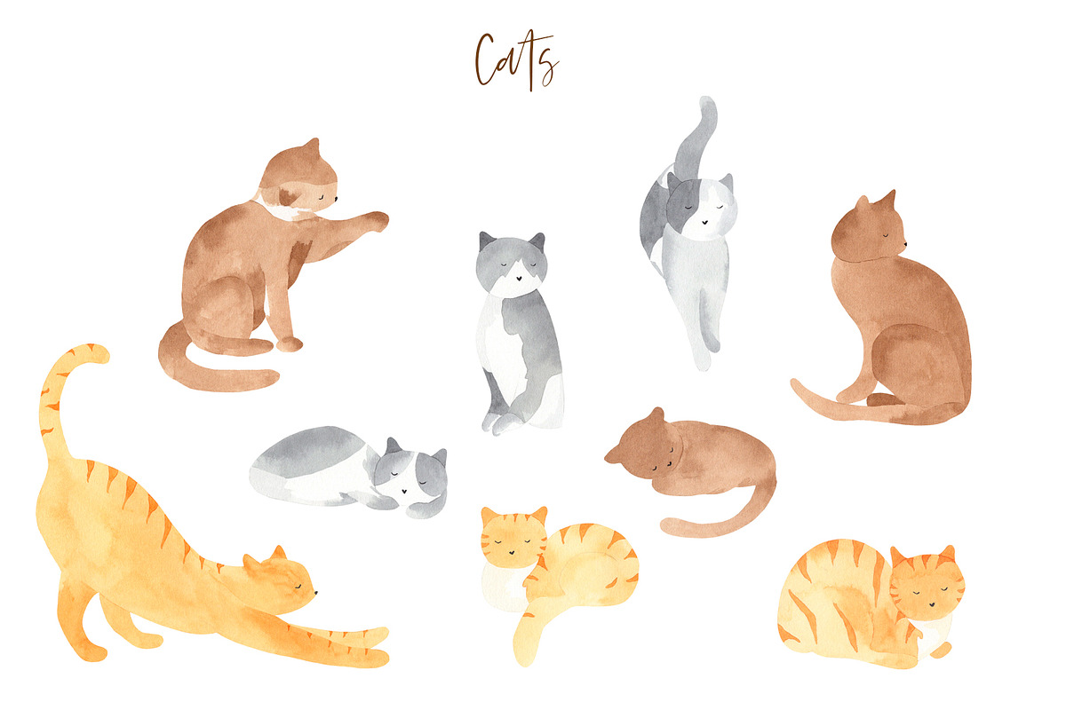 Plants & Cats Watercolor Clipart, an Animal Illustration by natalisart (Photo 3 of 13)