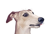 Dogs Cross Breeds 56 Animals Bundle, an Animal Illustration by Dneprstock (Thumbnail 26 of 55)