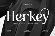 Aesthetic Retro Font Bundle - SALE!, a Serif Font by HansCo Studio (Thumbnail 8 of 8)