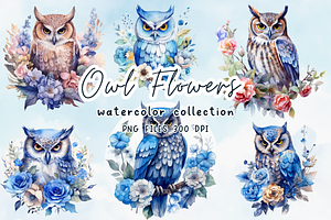 Owl Watercolor Clip Art