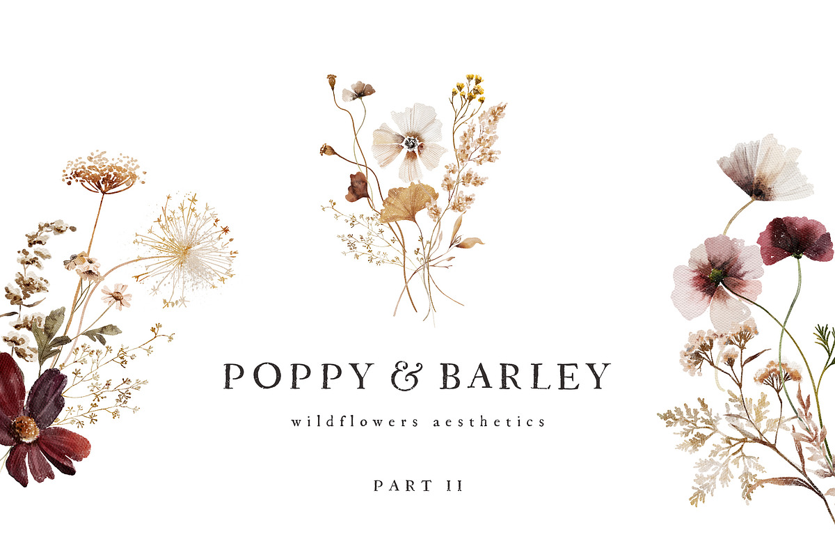 POPPY & BARLEY Autumn Wildflowers, a Seasonal Illustration by Muse Artist (Photo 1 of 14)