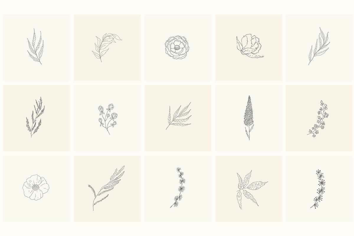 Hand Drawn Floral Elements. Frames, a Seasonal Illustration by Designwork (Photo 9 of 22)
