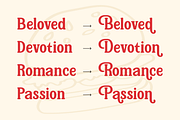 Alena Toldeon Rounded Serif Typeface, a Serif Font by Vadovastd (Thumbnail 4 of 7)