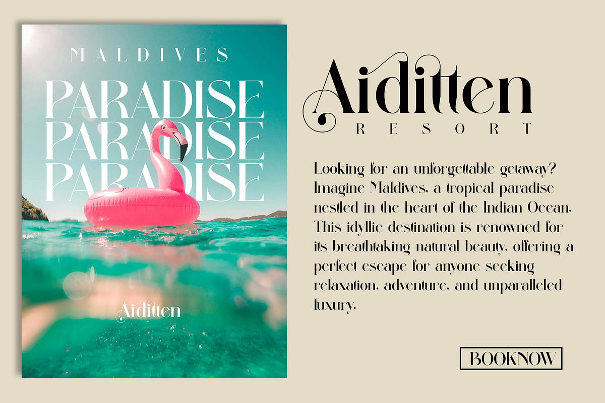 Aiditten Elegant Serif, a Serif Font by Alfinart (Photo 3 of 10)