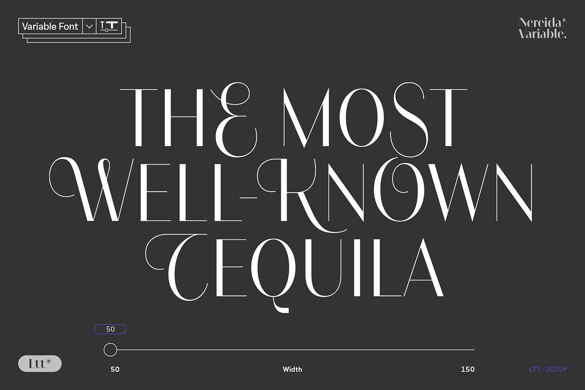 Nereida Variable, a Sans Serif Font by Latinotype (Photo 4 of 10)