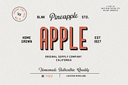 Whole Store Bundle | 95 OFF, a Serif Font by Swistblnk Std. (Thumbnail 10 of 60)