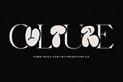 Punk Idols – Serif & Throw Up Font, a Serif Font by Prioritype Co (Thumbnail 6 of 10)
