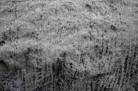 The natural roughness of ruberoid, an Abstract Photo by Schreibikus