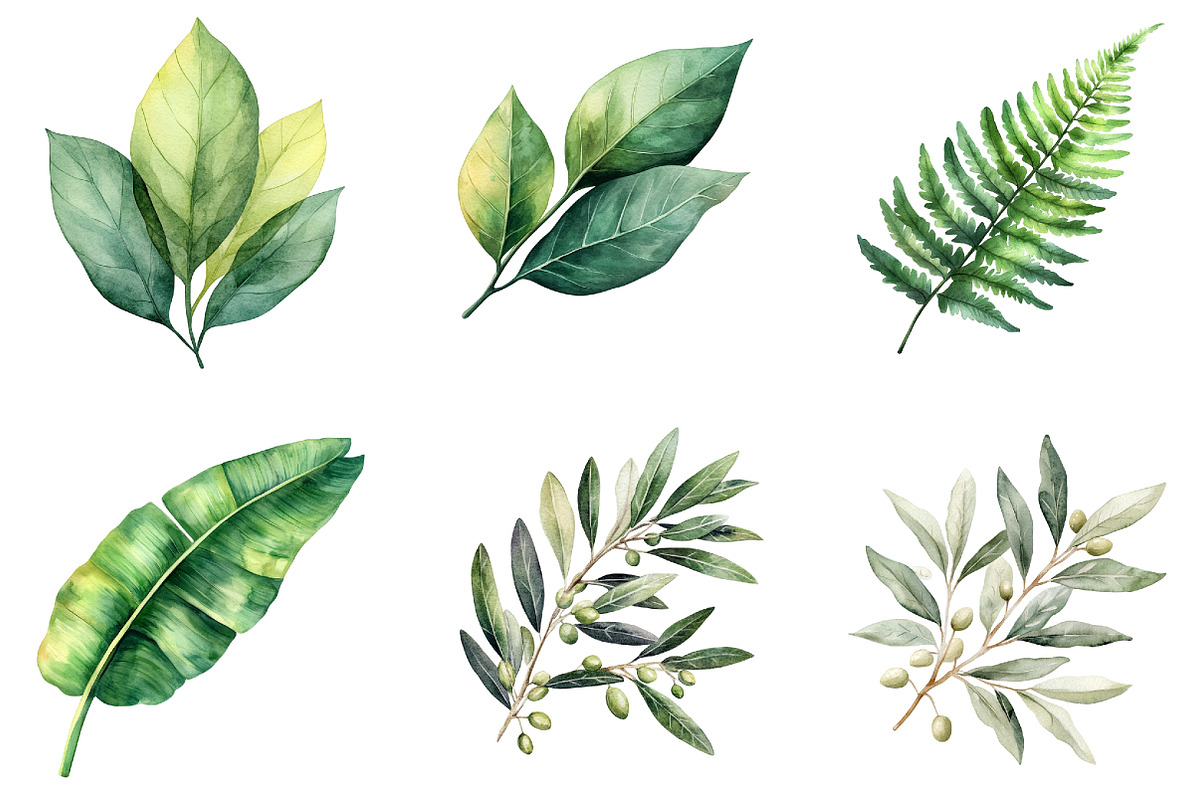 Green Summer Foliage Clipart, an Illustration by DreamArtGraphic (Photo 2 of 4)