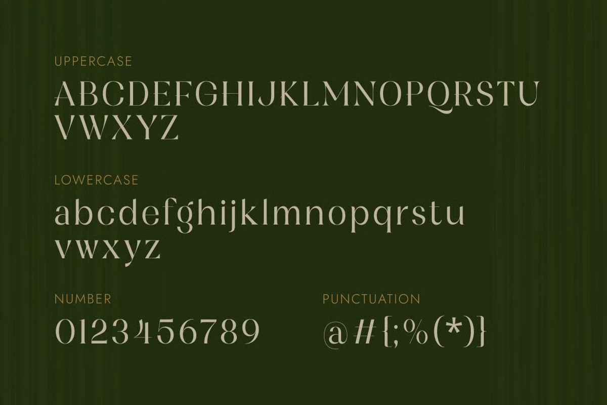 Rogate – Elegant Heritage Serif, a Serif Font by Brand Earth (Photo 2 of 7)