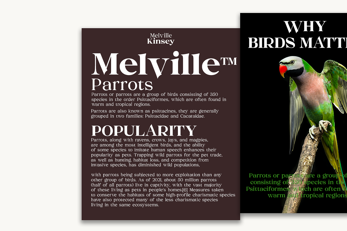 Melville Text - Roman Serif Family, a Serif Font by LuhopCreative (Photo 7 of 14)
