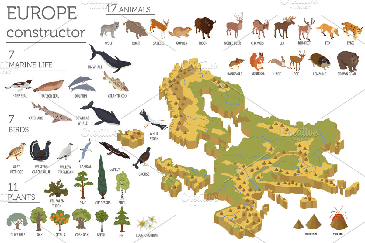 Europe isometric flora & fauna map, an Animal Illustration by pet design shop (Photo 2 of 5)