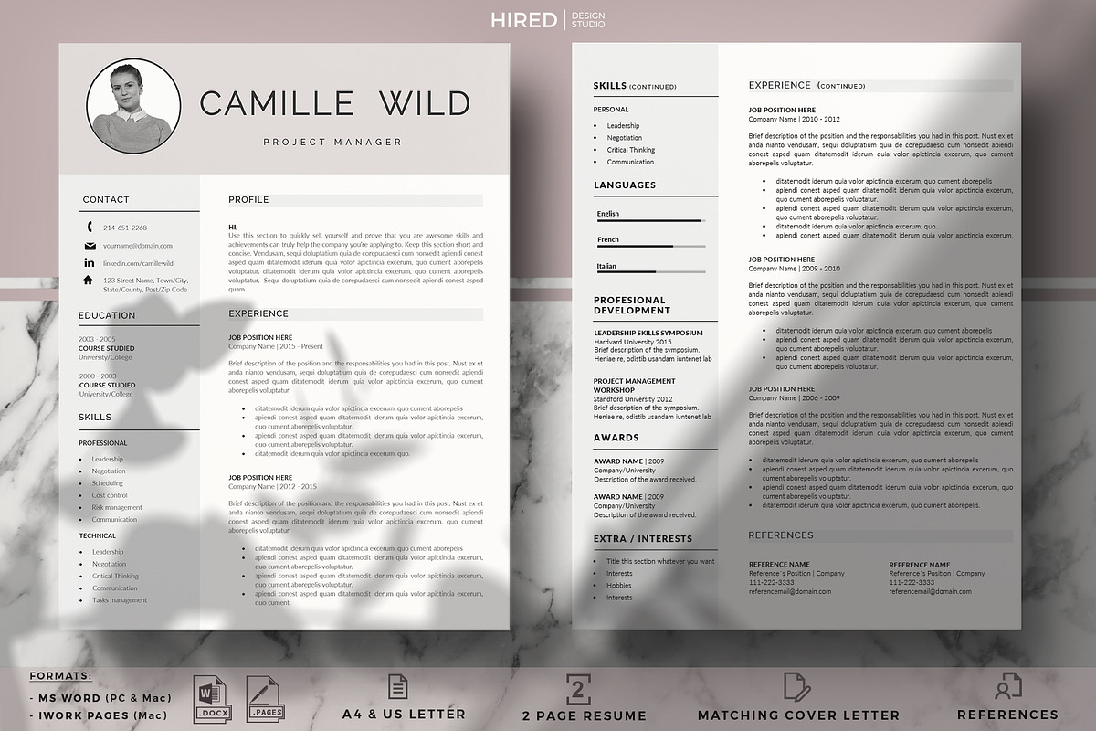 Professional CV for Project Manager
