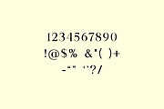 Bernadine Aleyshia Classic Serif, a Serif Font by UICreative (Thumbnail 5 of 13)
