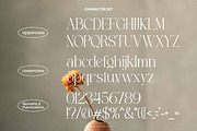 Agifted - Elegant Serif Font, a Serif Font by Flawless And Co (Thumbnail 8 of 10)