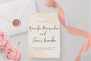 Centaura Script, a Script Font by Chocotype Std (Thumbnail 7 of 8)