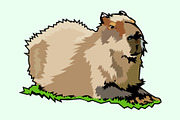 Capybara illustration, an Animal Illustration by Sumberpangan (Thumbnail 2 of 3)
