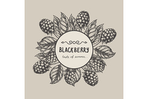 Blackberry Raspberry design template. Blackberry Raspberry branch engraving illustration. Vector illustration