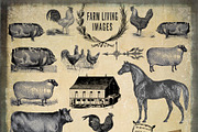 Farm Living Clipart & Backgrounds, an Animal Illustration by Le Paper Cafe (Thumbnail 2 of 5)