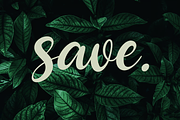 Chime Bells Beauty Script Font, a Script Font by MACK 75 (Thumbnail 10 of 10)