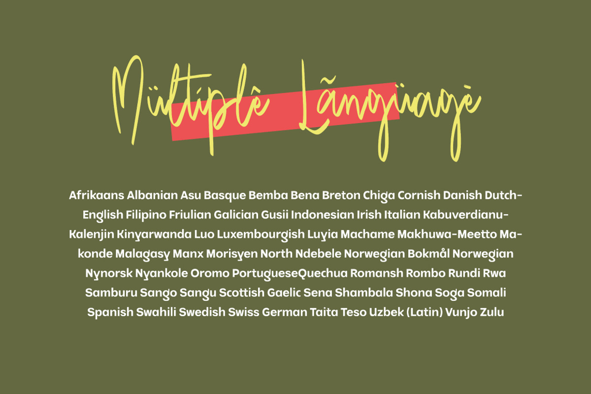 Mango Driver - Signature Brush, a Handwritten Font by tebaltipislab (Photo 5 of 10)