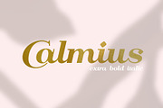 Calmius EB Italic, a Serif Font by NREY (Thumbnail 8 of 8)