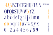 Roelvo - Clean Elegant Display Serif, a Serif Font by Qweera Studio (Thumbnail 11 of 12)