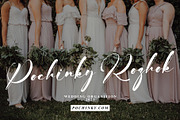 Switzerland, a Script Font by pineungtype (Thumbnail 6 of 9)