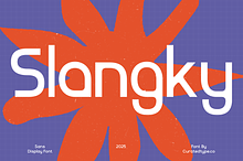 Slangky - Modular Display Sans