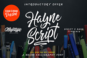 Hayne Clean & Rough - Brush Font, a Sans Serif Font by dexsarharryfonts (Thumbnail 1 of 7)