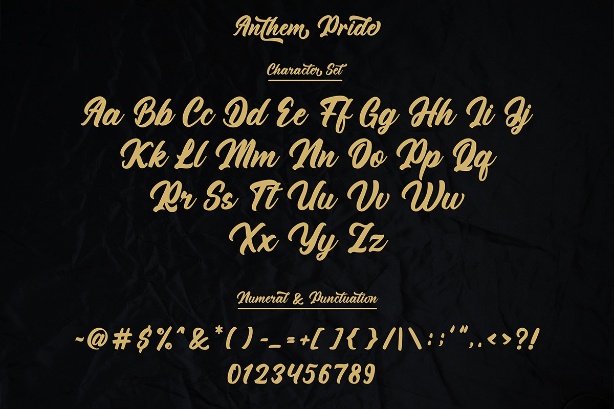 Anthem Pride Modern Script Font, a Script Font by Ronny Studio (Photo 13 of 15)