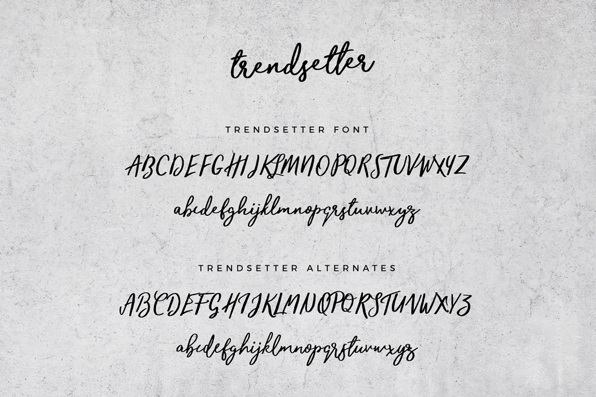 Typographer's Dream Box + 200 Logos, a Script Font by Mats-Peter Forss (Photo 115 of 130)