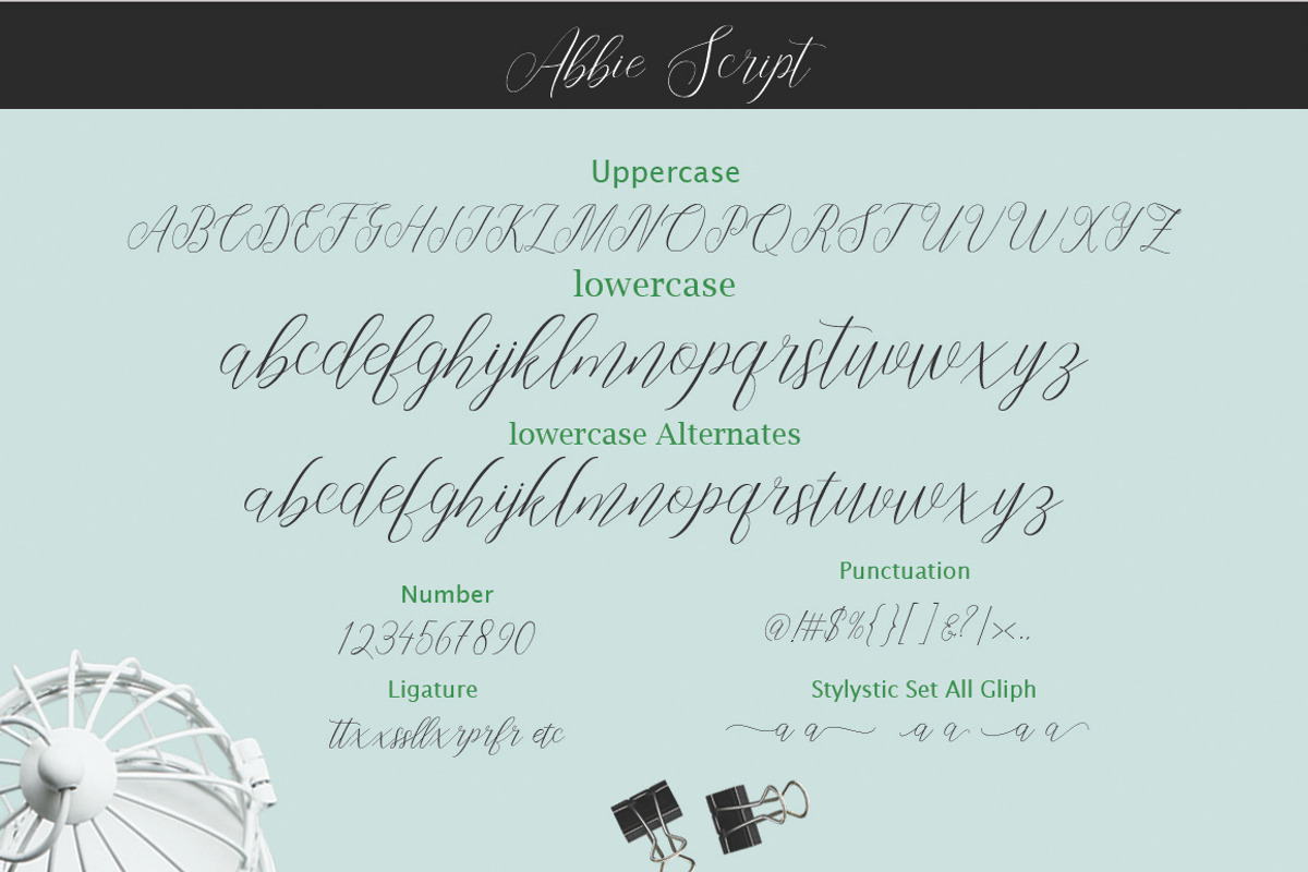 Abbie Script preview 4