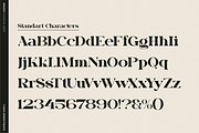 Gradzy | Display Serif Font, a Serif Font by Denustudios (Thumbnail 13 of 13)